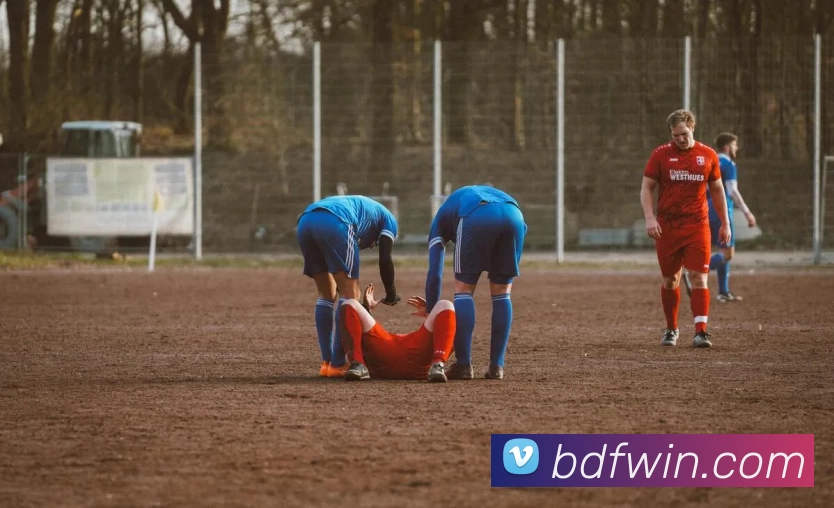 博到发娱乐城官网平台生态图